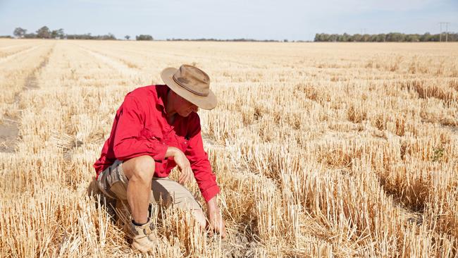 Farmers who might not have thought they’d be caught up in the tax may end up paying it. Picture: Sarah Brown