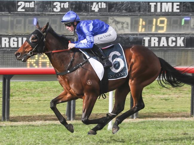 Presides can follow his impressive maiden win with another victory when he heads to Kembla on Thursday. Picture: Bradley Photos