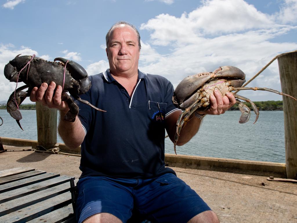 David Caracciolo from Mackay Reef Fish Supplies. Picture: File