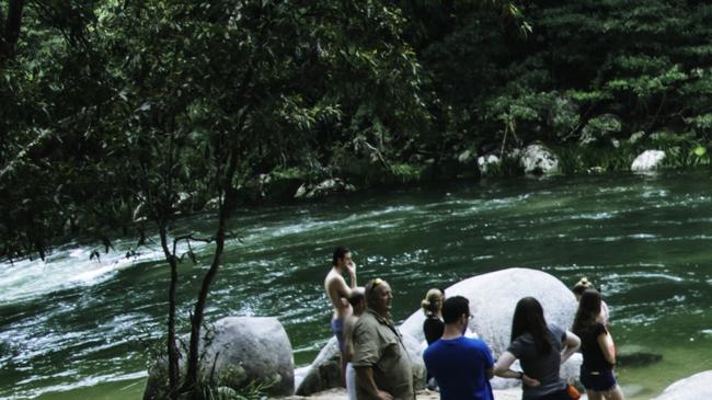 Mossman Gorge is a popular Far North tourism attraction. Picture: Tourism and Events Queensland