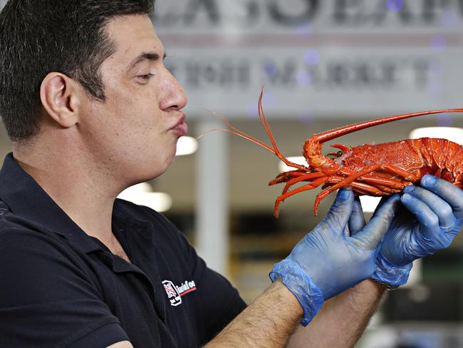 Fishmonger Angelo Vaxani with Fresh Australian Lobsters at Nicholas seafood in the Sydney Fishmarket on the 7th of December. Picture: Adam Yip