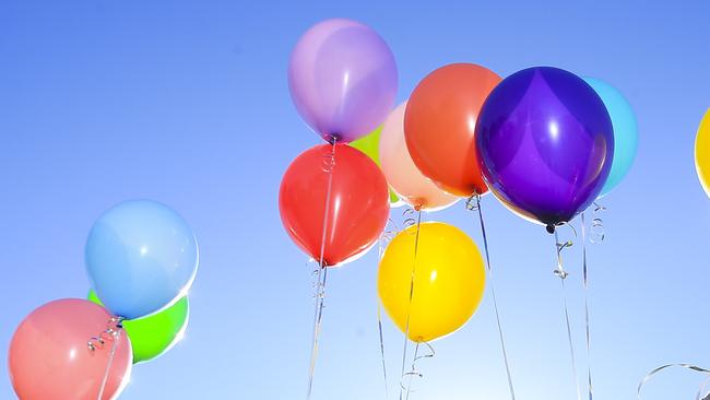 Northern Beaches Clean Up Crew claim that balloons kill almost one in five seabirds that ingest them. Picture: Dylan Robinson