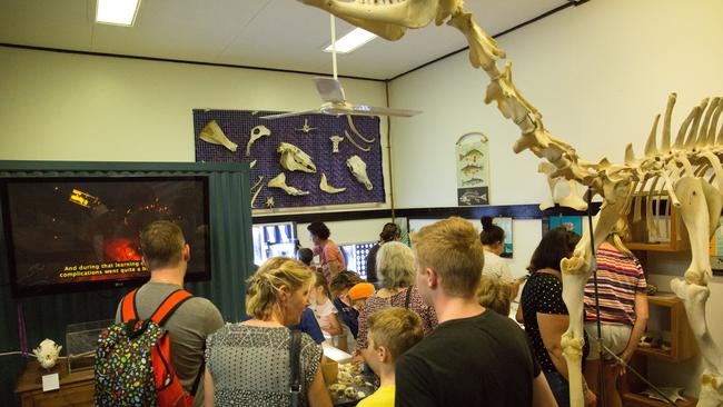 The Gympie Bone Museum is popular attraction among school kids and tourists.