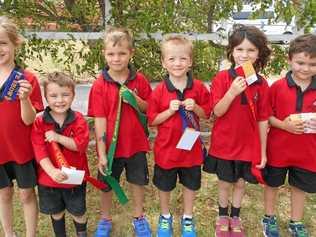 The Summit Prep - Year 2 students who placed in the Stanthorpe Show Critters Competition. Picture: Contributed