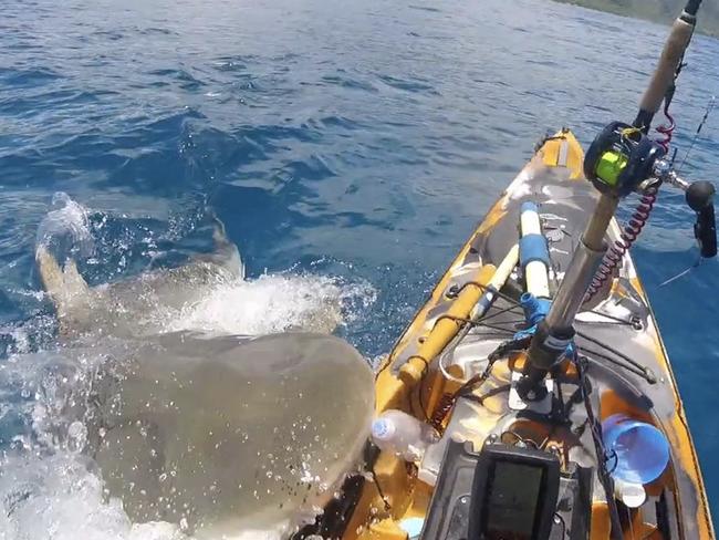 A lucky fisherman has recounted his hair-raising encounter with a massive sea predator while kayaking in Hawaii. Picture: Hawaii Near Shore Fishing