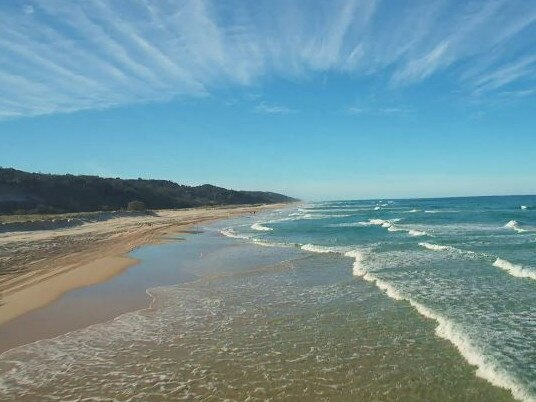 How Fraser Island is bouncing back after devastating fires