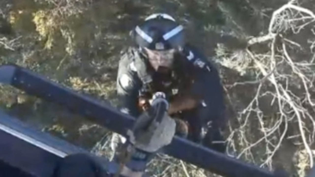 Watch: Paraglider stuck in thick bushland rescued by chopper