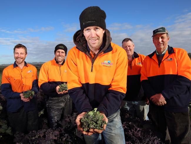 Samwell family of Eastbrook Vegetable Farms in SA grow Brussels sprouts. Picture: Supplied