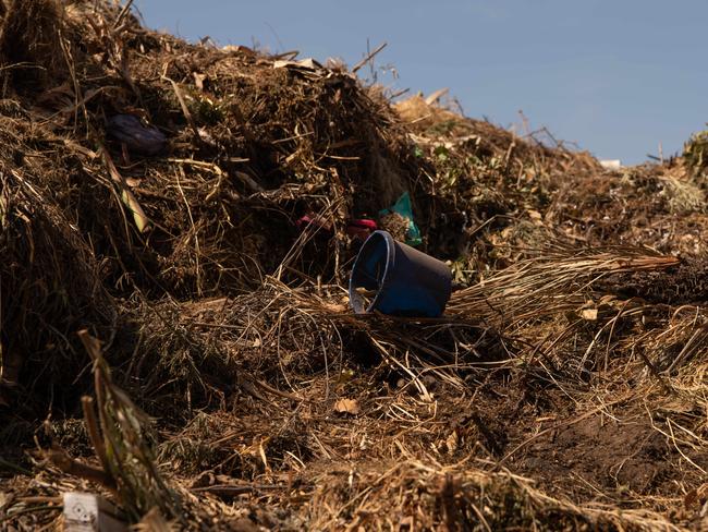 Following South Australian green waste from curb side to waste centre for processing then to garden. Pot-plant contamination in green waste at Jefferies waste depot at Wingfield. Picture: Brad Fleet