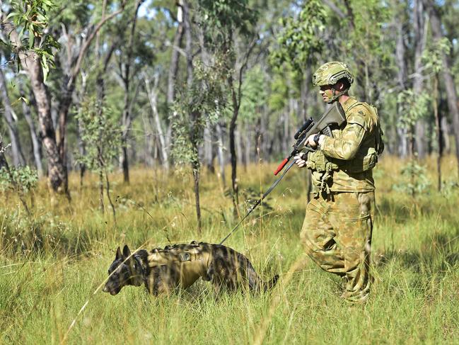 File photo: Military Police Private Christopher Peming and Military Police Dog Spot patrolling during Exercise Talisman Sabre 2017 near Shoalwater Bay in Queensland. Picture: Wesley Monts