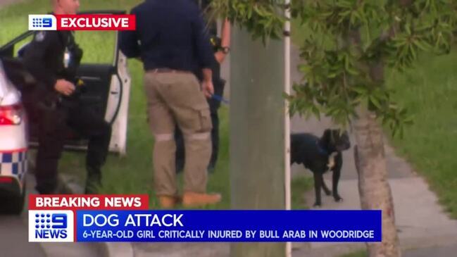 Girl, 6, mauled by dog at Woodridge (9 News)