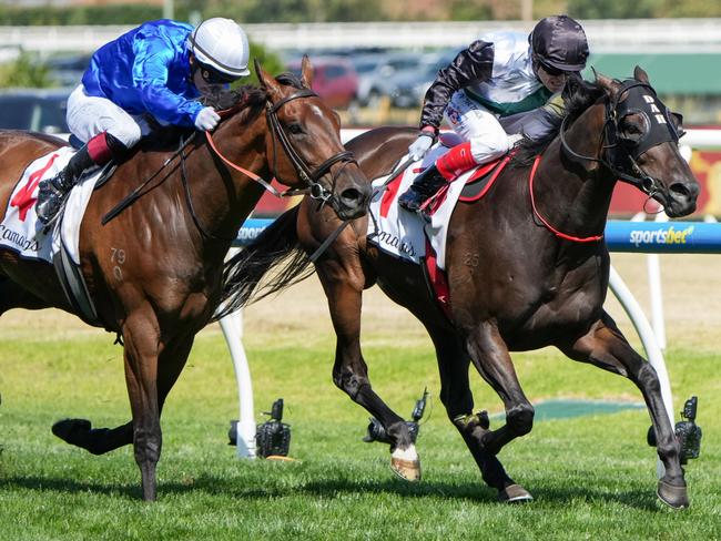 Mr Brightside (NZ) ridden by Craig Williams wins the Lamaro's Hotel Futurity Stakes at Caulfield Racecourse on February 22, 2025 in Caulfield, Australia. (Photo by George Sal/Racing Photos via Getty Images)