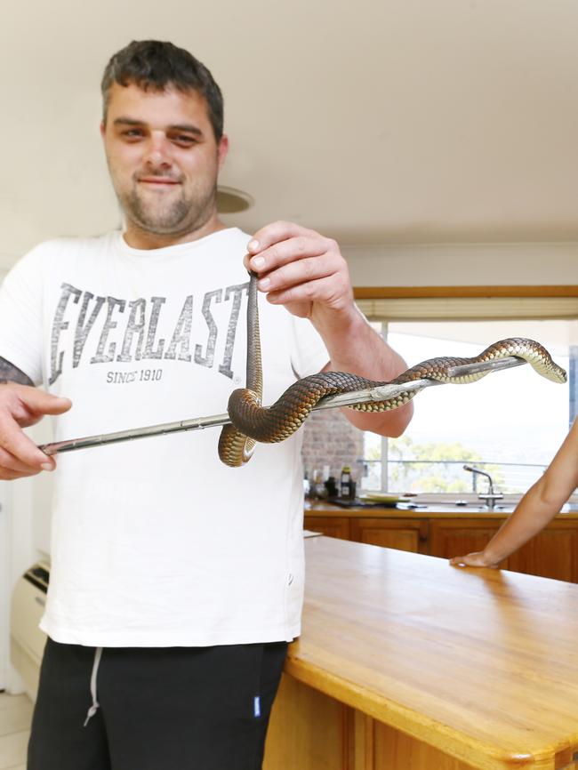 Reptile Rescue Incorporated chair Chris Daly. Picture: MATT THOMPSON