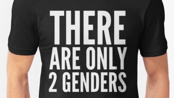 There are only 2 genders t-shirt