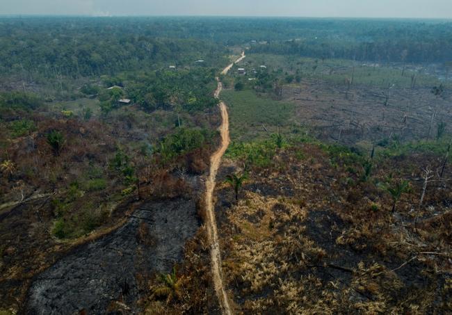 Deforestation in the Brazilian Amazon fell by 22.3% in the twelve months to July, the best result in four years, the government of President Luiz Inacio Lula da Silva reported on November 9, 2023