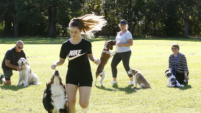 Chris Miles, Georgia McMahon, Kirsten McGregor and Prue Weber with their canine companions. Picture: John Appleyard