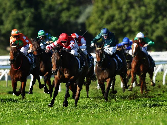 Snake Charmer (not pictured) looks a tidy prospect at Warwick Farm. Picture: Brett Costello