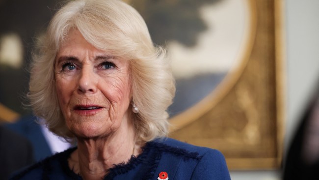 Queen Camilla Reveals Chest Infection Diagnosis Was Form Of Pneumonia ...