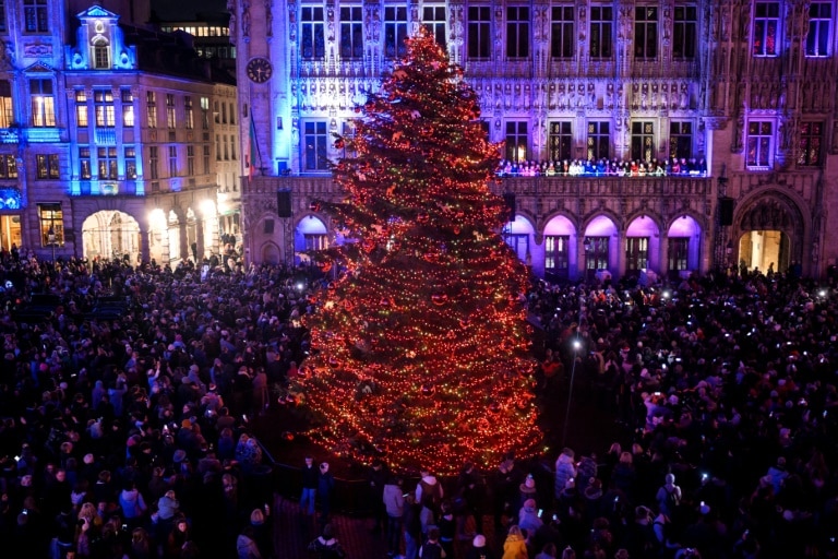 Don’t eat your Christmas tree, warns Belgium food agency