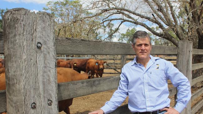 Agforce CEO Michael Guerin is leading legal action against the federal government.