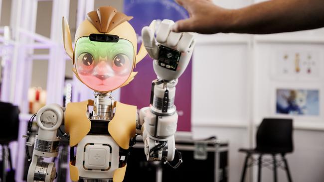 Mirokai, a robot designed to deliver food or shadow nurses and doctors in hospitals. Picture: Getty Images