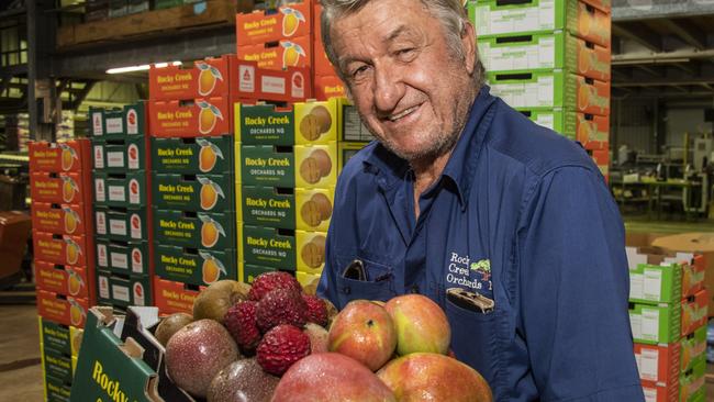 North Queensland farmer Joe Masasso, 79, grows avocado, mango, kiwi fruit, lychee, passion fruit and kipfler potatoes at Tolga on the Atherton Tableland. Picture: Brian Cassey