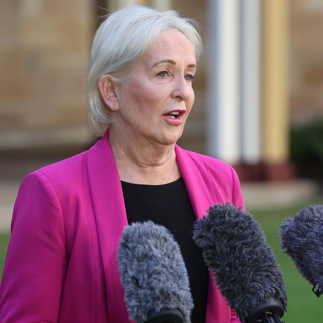 Shadow Health Minister Ros Bates during a news conference at State Parliament, Brisbane. Picture: Liam Kidston.