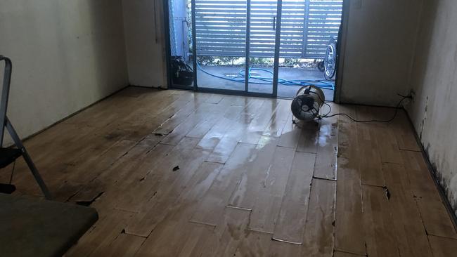 The living room after the clean up. Photo: BIO Busters