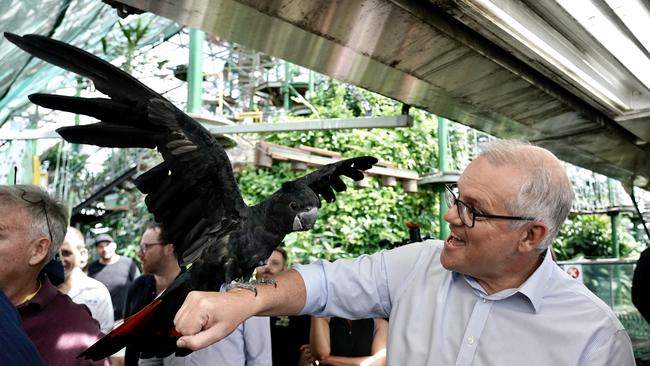 Prime Minister Scott Morrison tours the Cairns Zoom and Wildlife Dome to announce a $60m Australian tourism package which will partly help Far North Queensland recover from the Covid pandemic. Picture: Adam Taylor