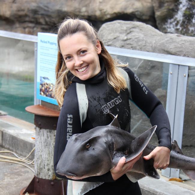 Dr Meagher, a shark lover, holds a Port Jackson shark, which Taronga keep for research purposes from time to time.