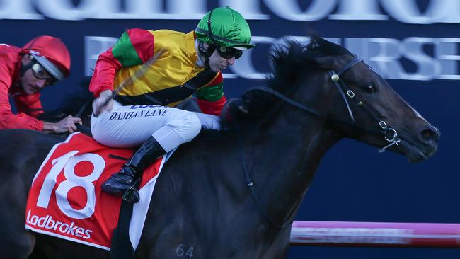 Age Of Chivalry could be the knockout chance in the Sir Rupert Clarke Stakes. Picture: Getty Images