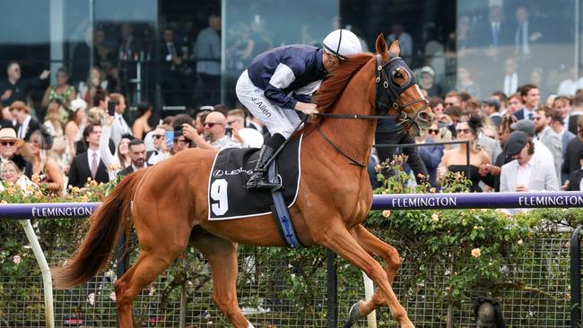 Serpentine was the final horse to qualify for the Melbourne Cup. Picture: George Sal / Racing Photos via Getty Images