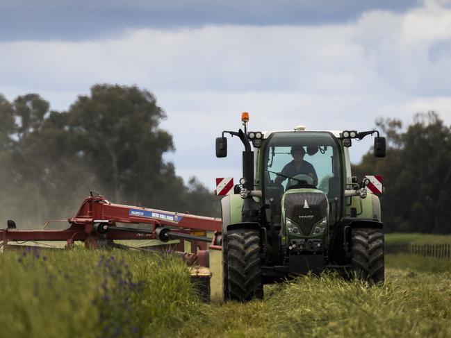 Josh Feuerherdt, son of Steven, cutting grass that is greener than needed for hay. They are mixed farmers, near Culcairn, but the wet weather cycle is bringing almost too much rain and making it difficult to dry out the hay before baling. Picture: Dylan Robinson