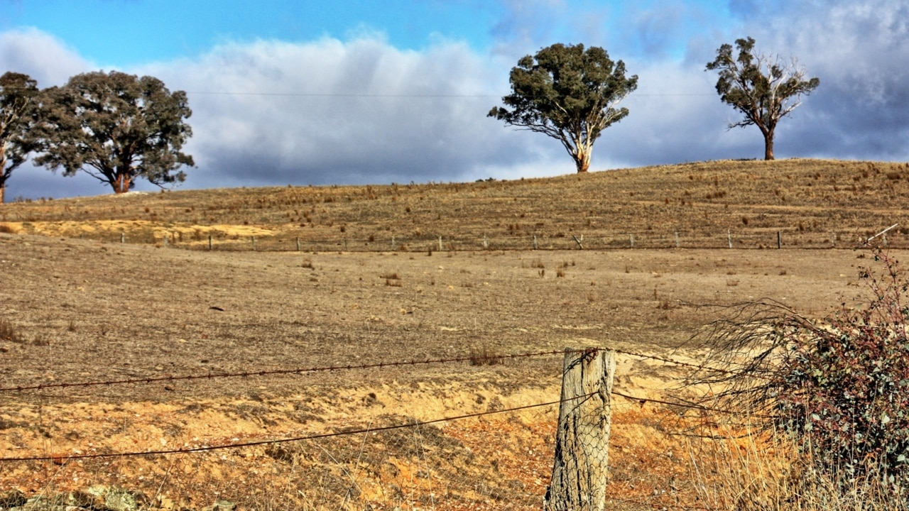 'Buy from the bush' saves rural shops from shutting