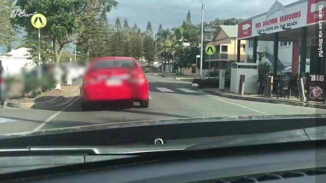 Why did the ibis cross the road?