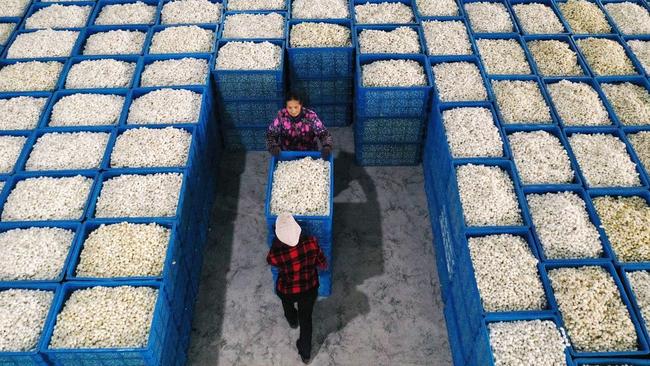 Workers at a silk factory in Chongqing, southwest China. Picture: Zuma Press