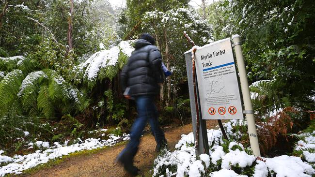 A black puffer jacket is almost uniform in Tasmania in winter. Picture: SAM ROSEWARNE