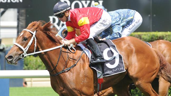 I Am Serious is Davo’s best bet of the day at Royal Randwick. Picture: Simon Bullard