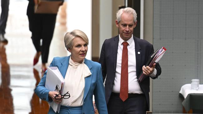 Environment Minister Tanya Plibersek and Skills Minister Andrew Giles. Regis Resources has called on the federal court to overturn her heritage decision on the Blayney mine proposal. Picture: NewsWire / Martin Ollman