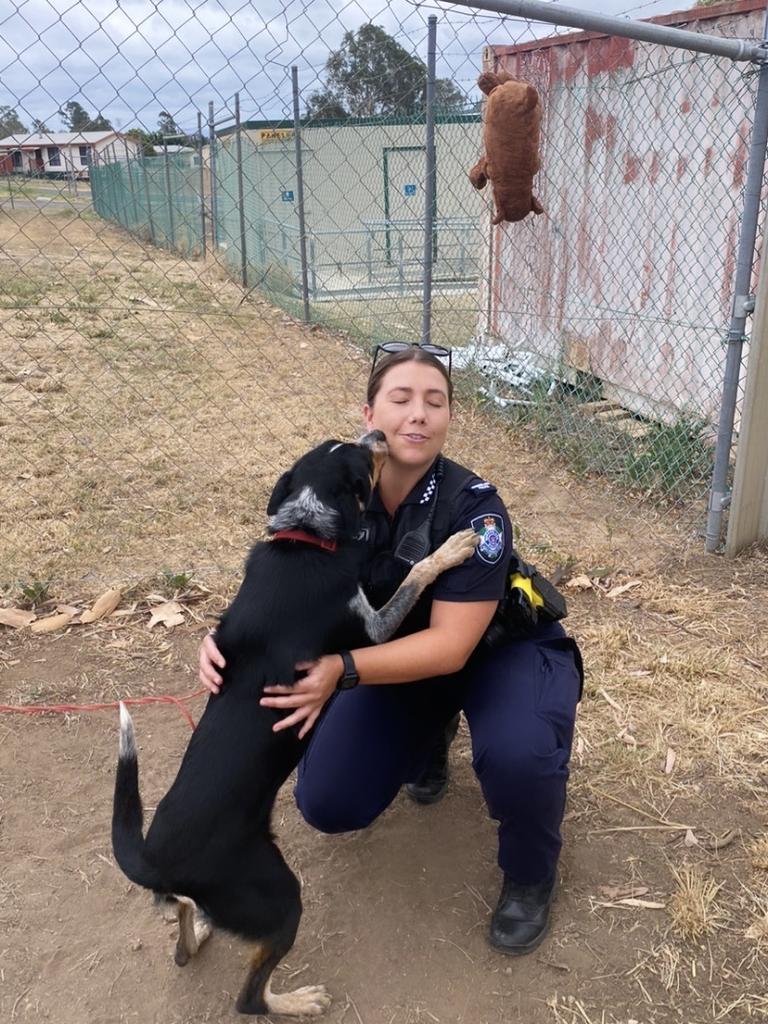 A constable from the Gatton police station volunteering with one of the dogs.