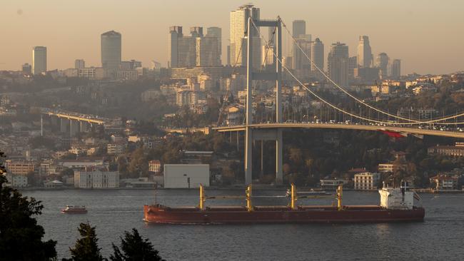 A container ship on the Bosporus passes through Istanbul. Exports to Russia from Turkey have risen from before sanctions were imposed on Moscow. Picture: Chris McGrath/Getty Images