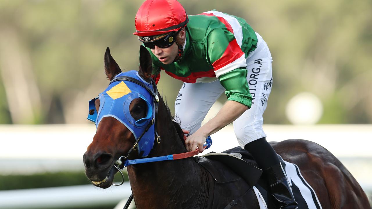 Star Of Harada looksa good chance at odds at Grafton on Wednesday. Picture: AAP Image