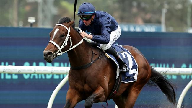 SYDNEY, AUSTRALIA - OCTOBER 12: Nash Rawiller riding Switzerland wins Race 5 Canadian Club Roman Consul Stakes during Sydney Racing at Rosehill Gardens on October 12, 2024 in Sydney, Australia. (Photo by Jeremy Ng/Getty Images)