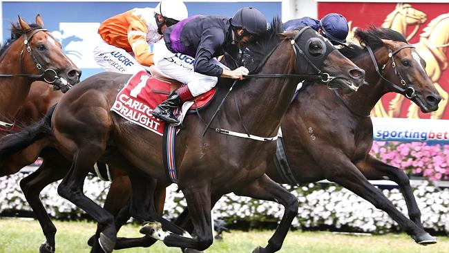 Fiorente flew home late to win the Peter Young Stakes last start and will relish the 2000m of the Austraian Cup at Flemington. Picture: Michael Klein