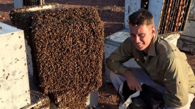 Carl Hampson, part owner of Hampson Honey, putting in the work.