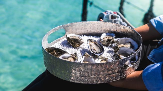 Coffin Bay oysters from the Eyre Peninsula, South Australia. Picture: SATC