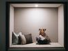 The tiny, weird rooms uprooting our homes