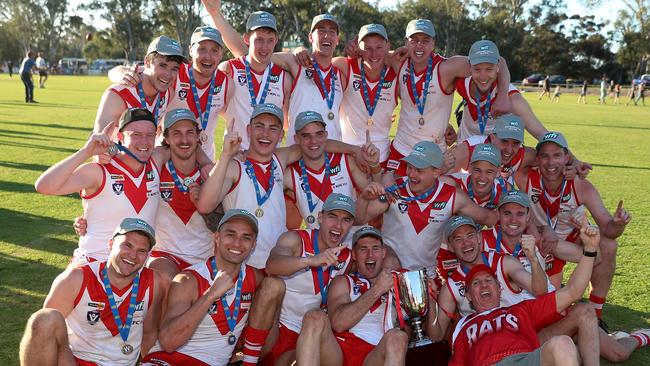 Ararat recovered from its second semi-final loss to beat Southern Mallee Giants in the grand final. Picture: Yuri Kouzmin