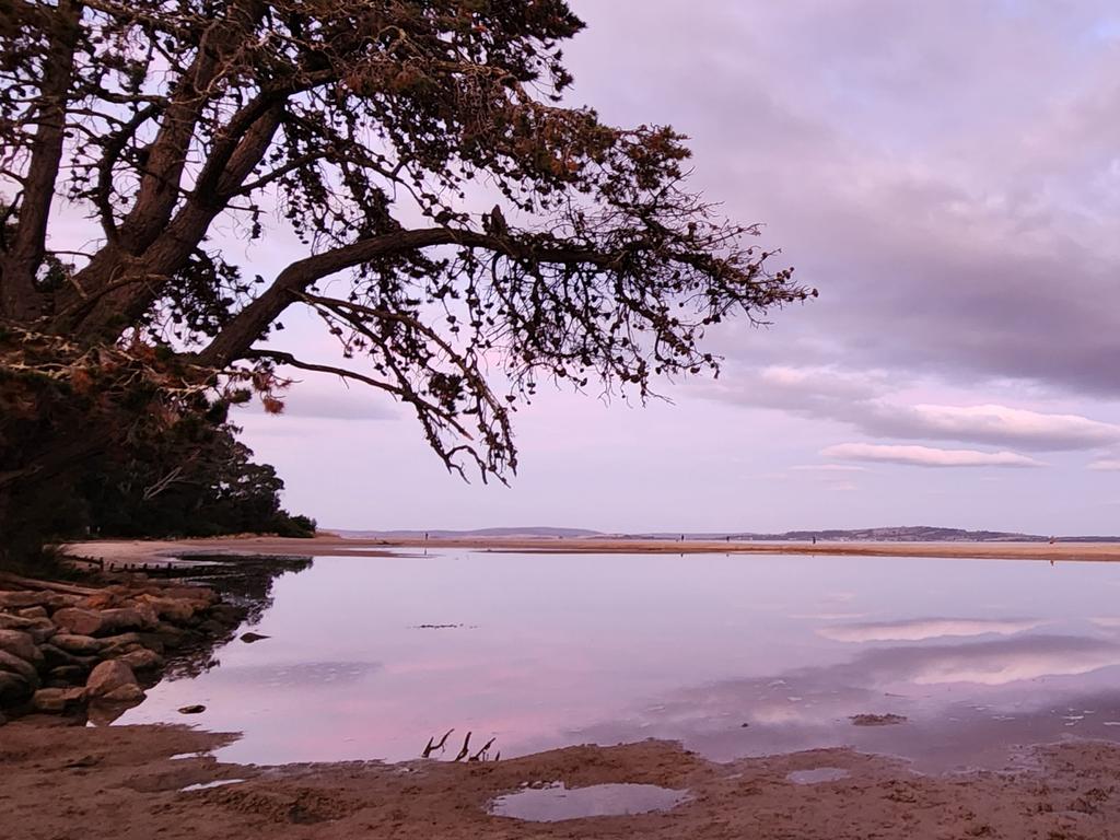 Kingston Beach. Picture: Rebecca Bonnitcha. Your Focus on Tasmania ***ONE TIME USE ONLY***