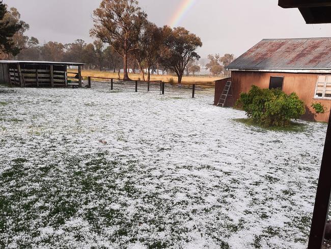 Hail in the Southern Downs. Storm activity, including hail, is forecast for Monday. Picture: Contributed